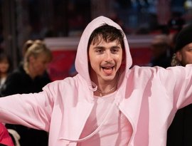 Timothée Chalamet confirma presença na CCXP25 em dezembro