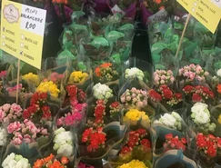 WhatsApp Image 2026-04-14 at 13.26.30.jpeg 