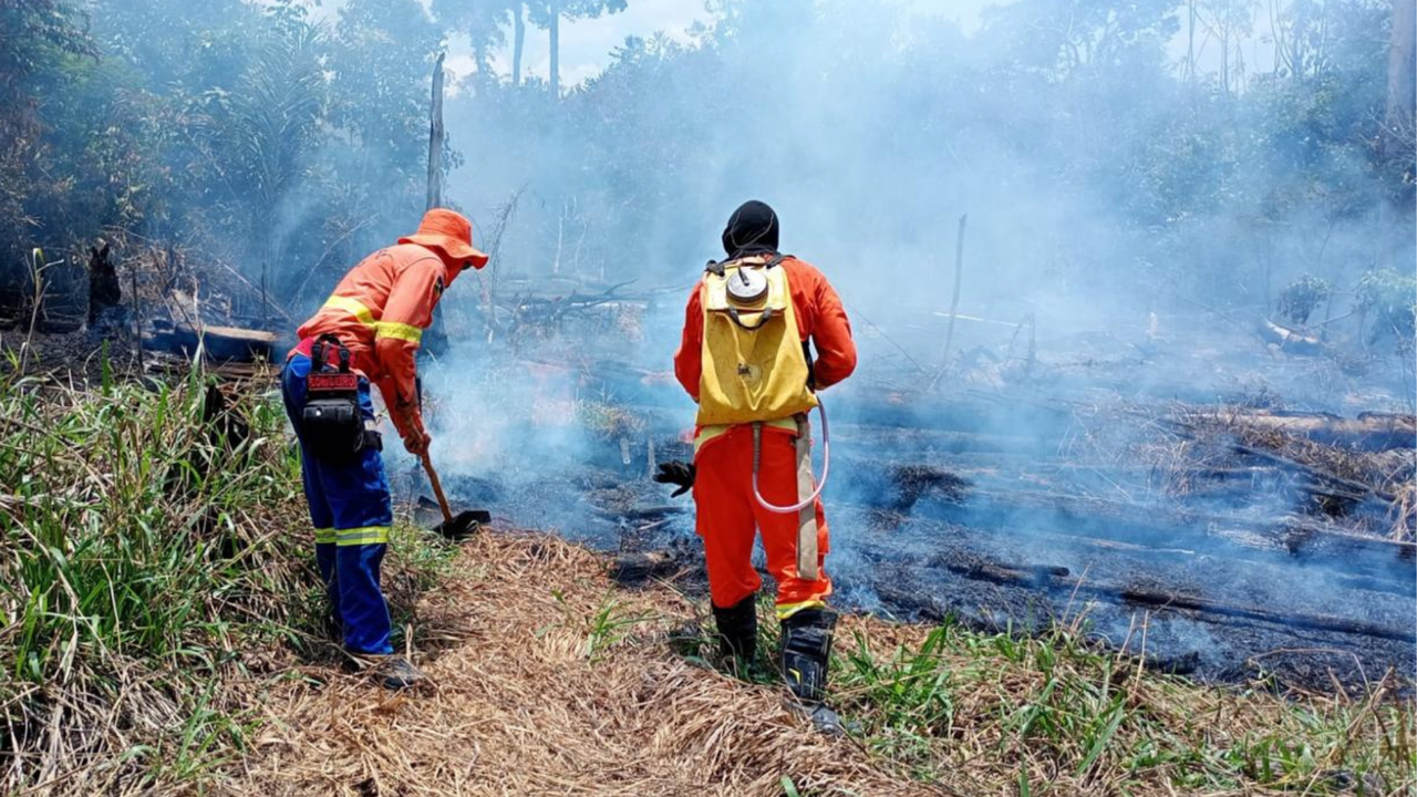 Corpo de Bombeiros combate incêndio em vegetação no mirante de Santa Terezinha