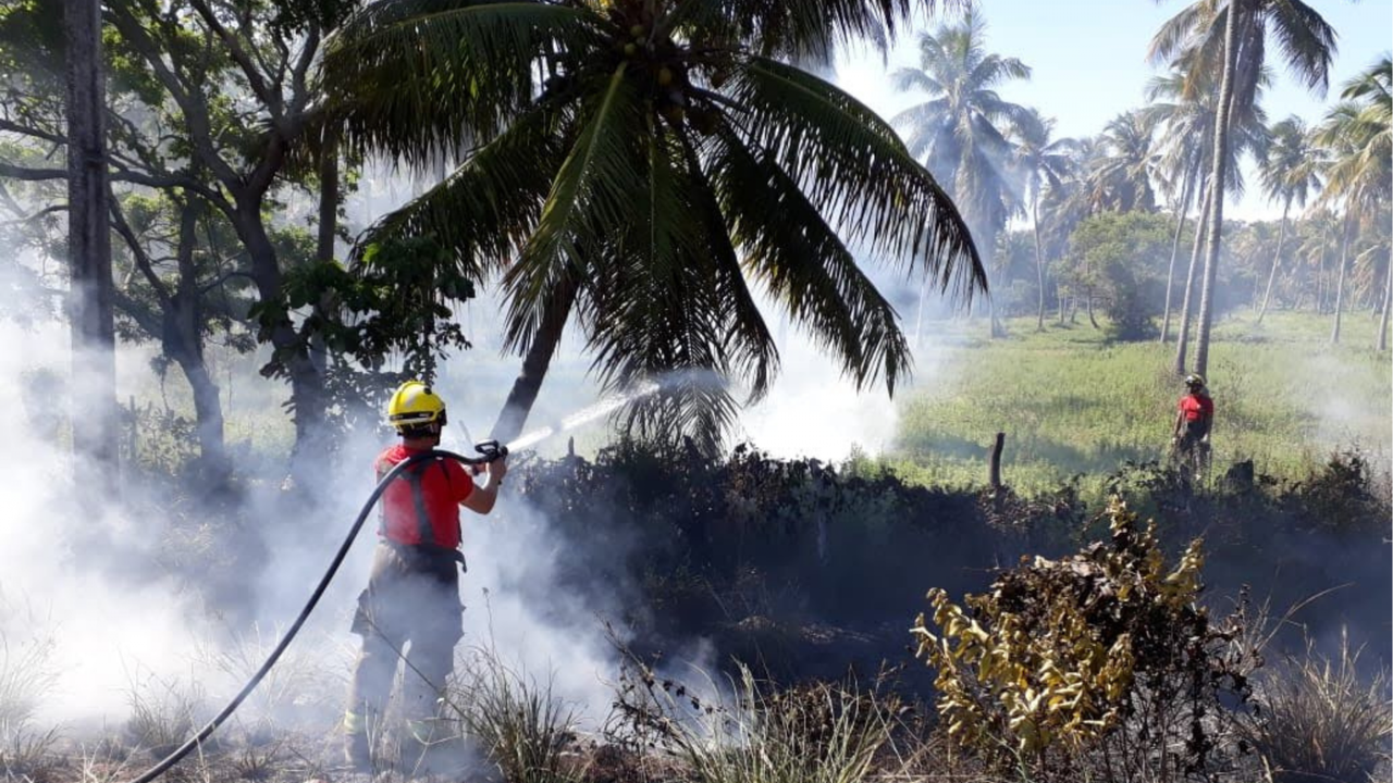 Bombeiros orientam brigadistas após incêndio em vegetação no Pilar