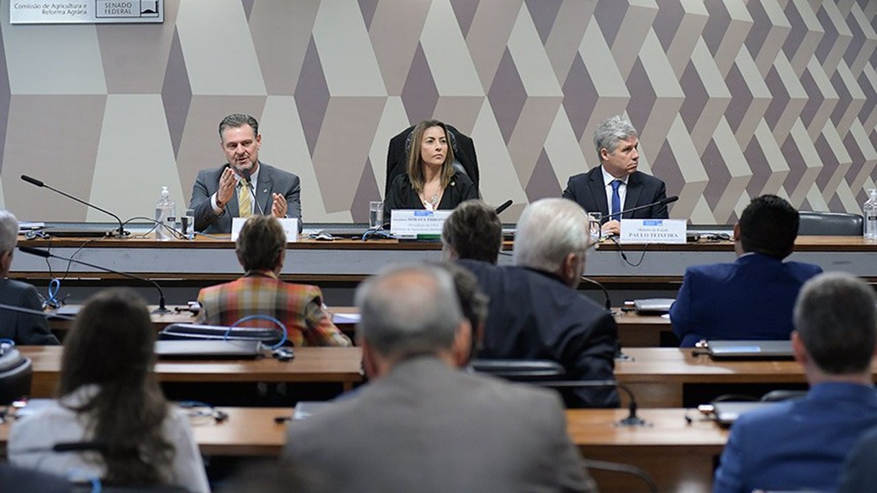 Ministros defendem reforma agrária, mas criticam invasões do MST