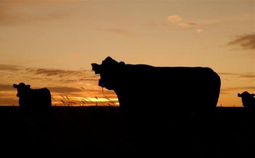 Expoagro 2020 vai gerar empregos diretos em AL