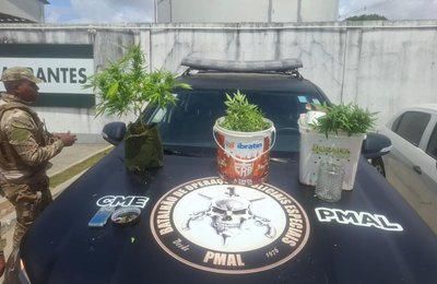 Polícia Militar apreende 5kg de drogas e descobre plantação de maconha em Maceió