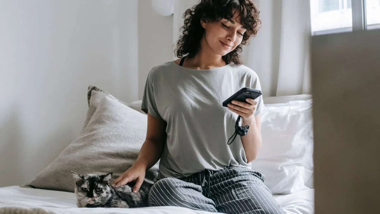 Tutores levam dúvidas sobre cães e gatos à inteligência artificial