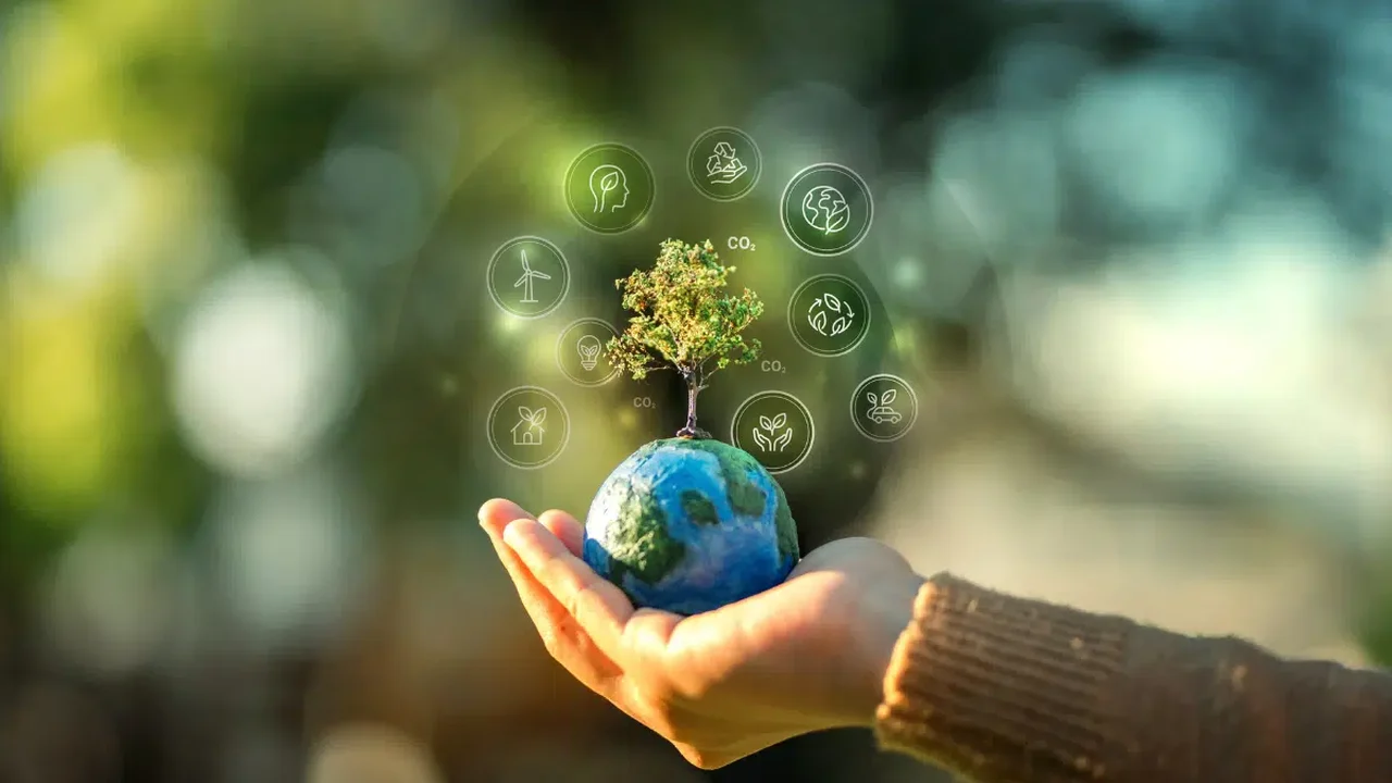 6 atitudes para viver com mais conforto e menos impacto no planeta