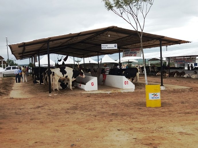 Expo Bacia Leiteira é aberta em Batalha. Evento prossegue até sexta-feira, 30