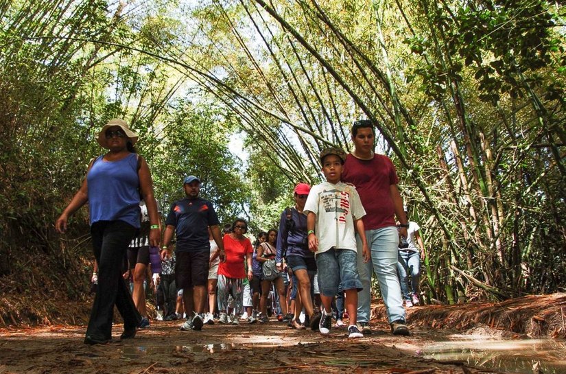 Parque Municipal divulga balanço de ações em 2015