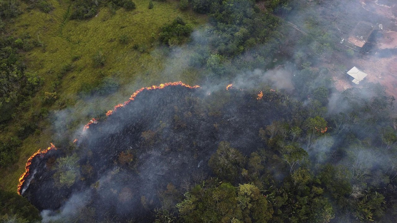 Incêndios devastadores: Brasil lidera ranking de perda de florestas em relatório global de 2024