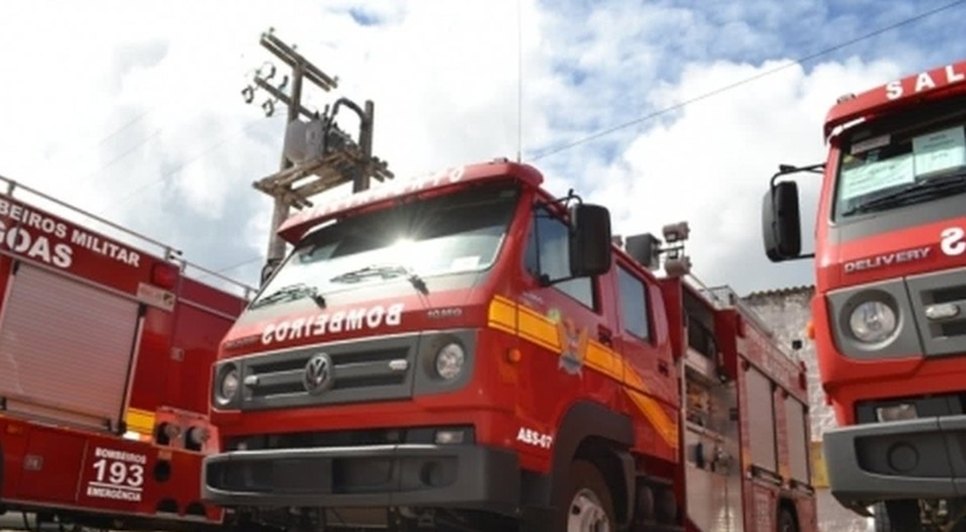 Captura de tela_12-8-2026_75226_francesnews.com.br (1)