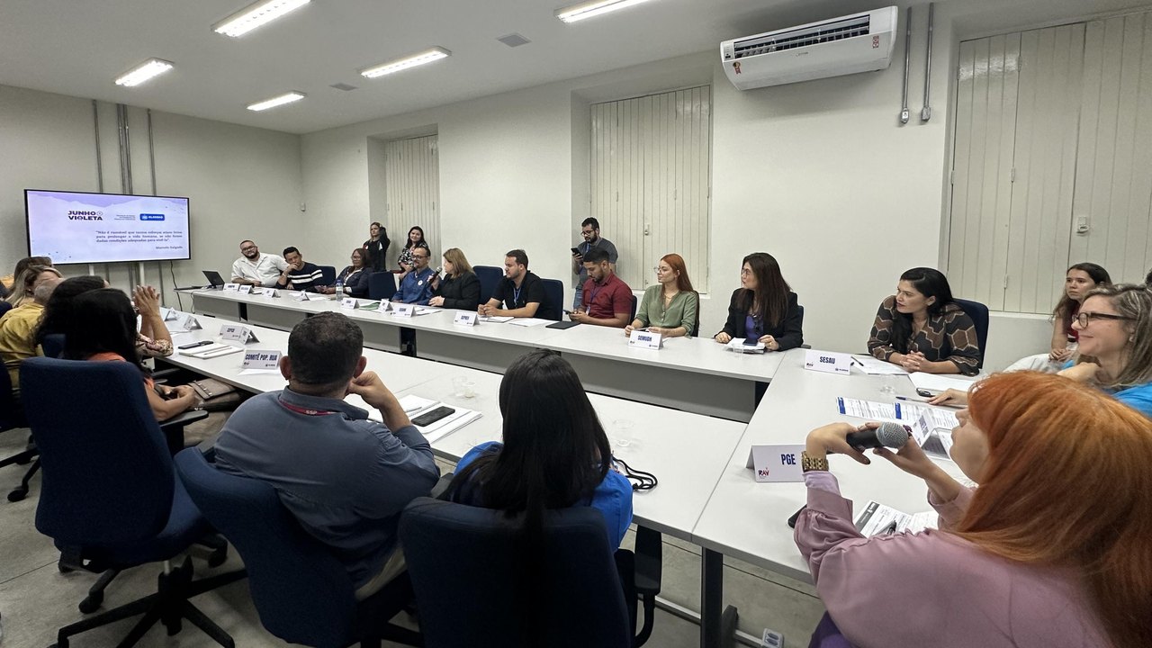 Combate à violência: Comitê Gestor da RAV apresenta cronograma da campanha Agosto Lilás