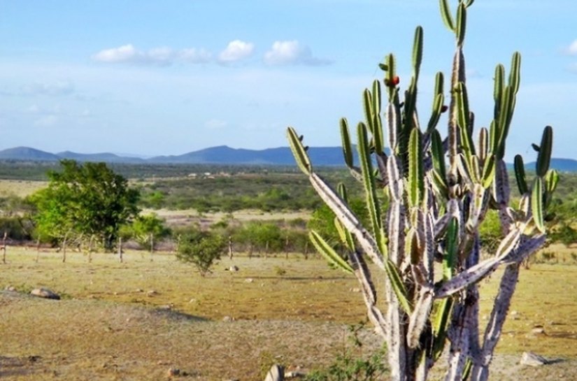 Seagri apresenta perspectivas climáticas para o Nordeste