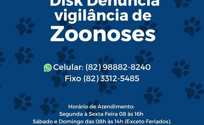 Situações de animais soltos em via pública ou abandonados podem ser denunciadas pelo canal