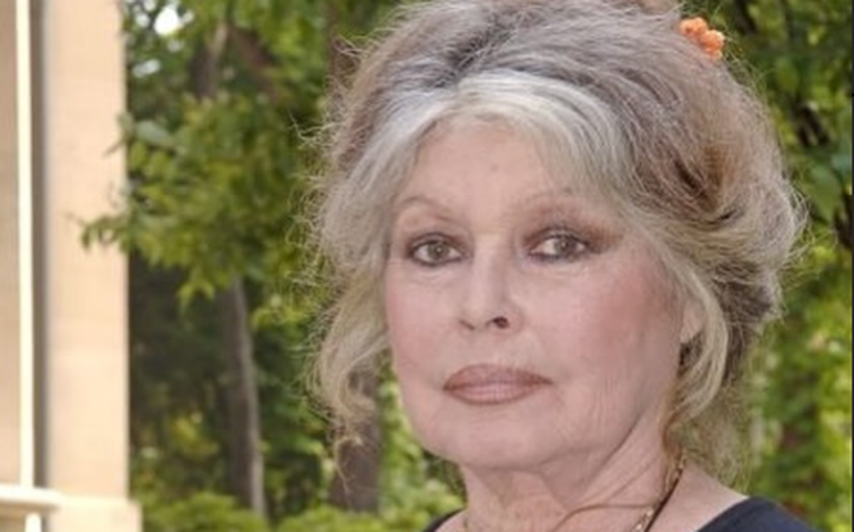 Como está Brigitte Bardot atualmente? Atriz de 91 anos é internada na França