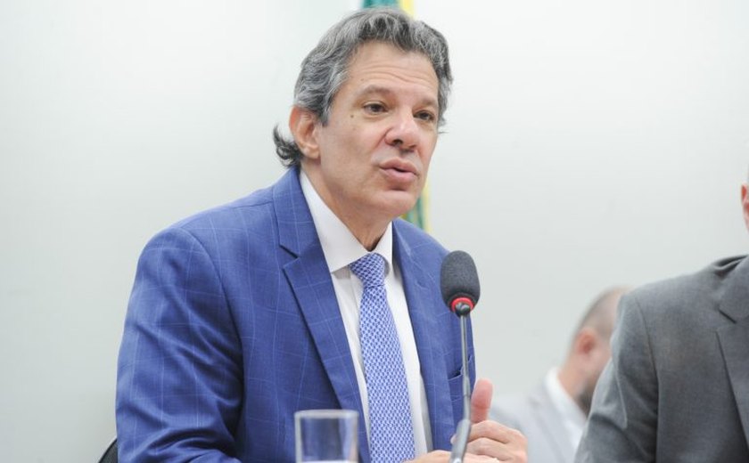 Haddad defende pensar forma de agregar valor às terras raras