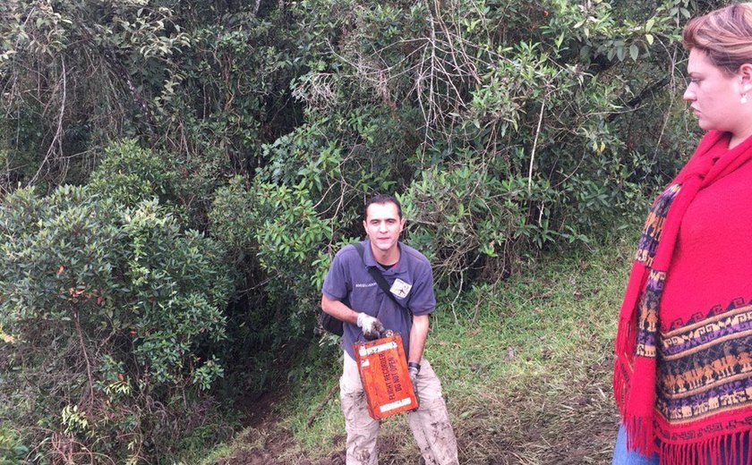 Aeronáutica Civil colombiana confirma que as duas caixas pretas foram encontradas