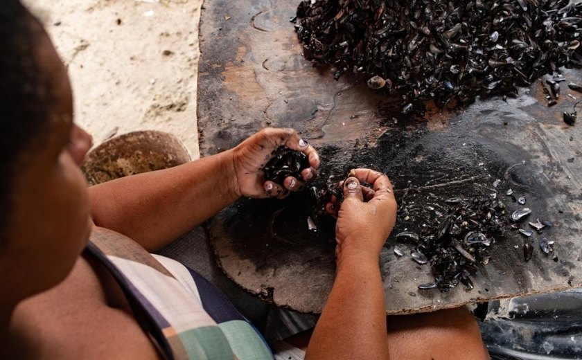 Maceió investe no fortalecimento das marisqueiras e na preservação da Lagoa Mundaú