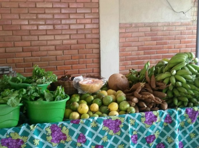 Feira orgânica e exposições acontecem na orla de Maceió no domingo, 18