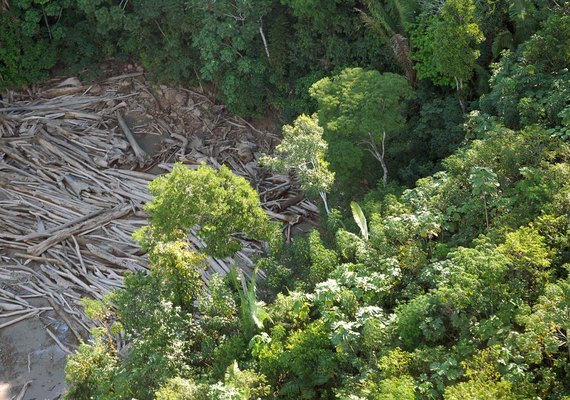Três em cada quatro hectares desmatados têm indícios de ilegalidade