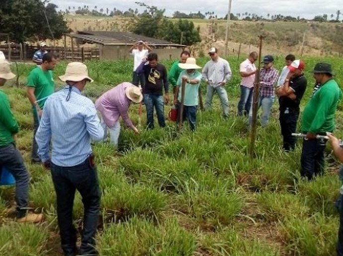 Curso orienta sobre uso intensivo de pastagem
