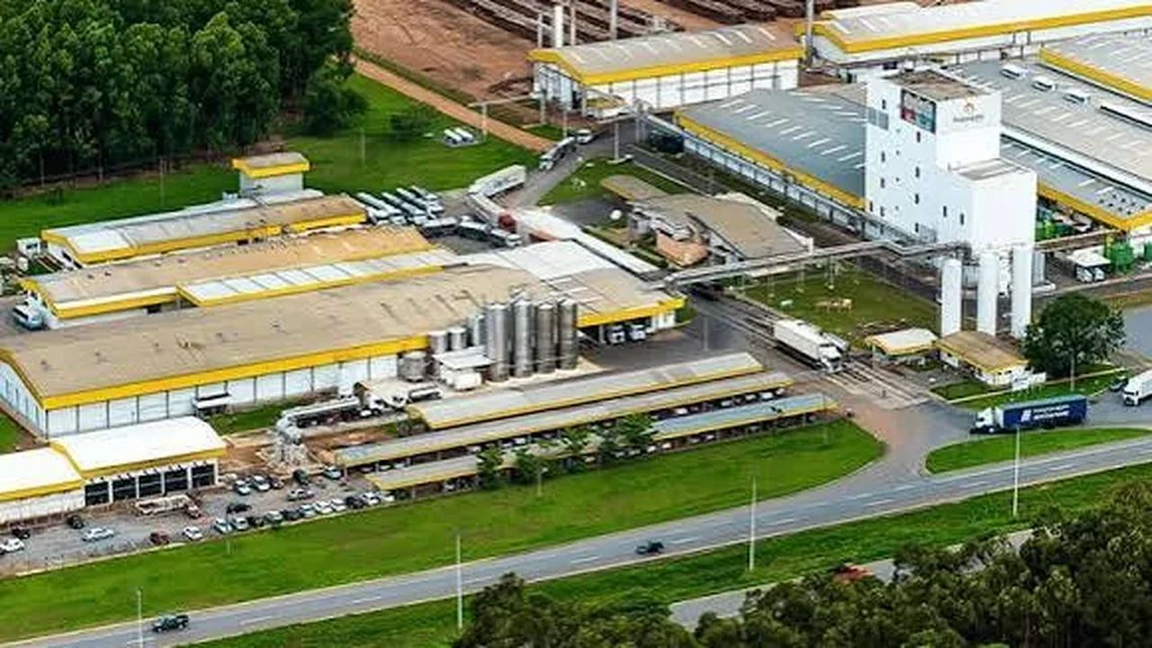 Piracanjuba assume operação de lácteos da Complem e prevê dobrar processamento em Goiás
