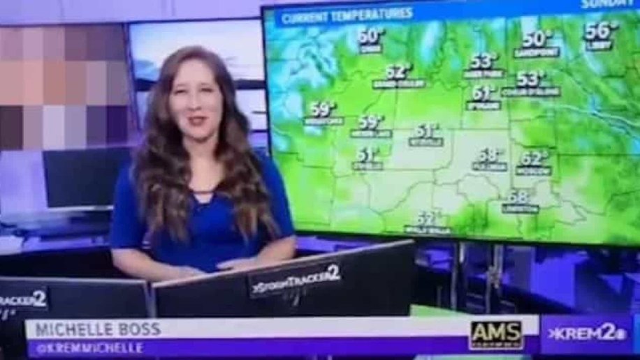 Telespectadores surpreendidos com vídeo pornô durante meteorologia