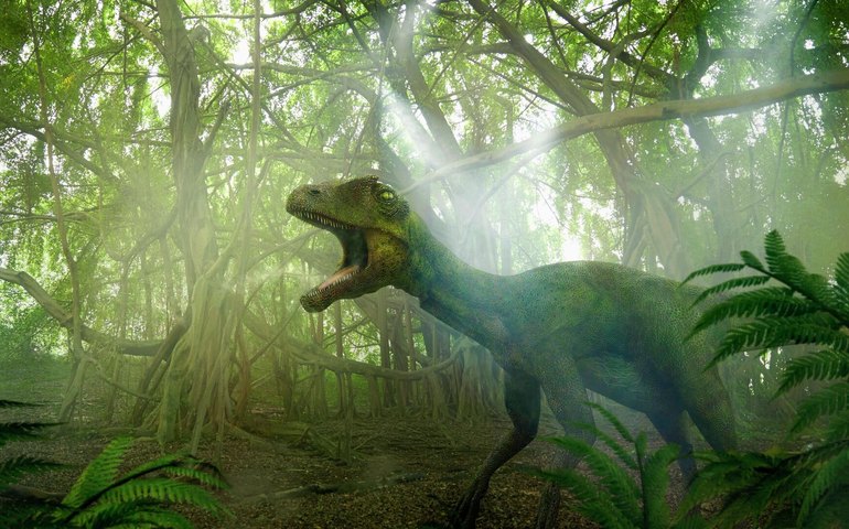 Pegadas de dinossauros revelam presença de répteis gigantes em Sichuan por milhões de anos