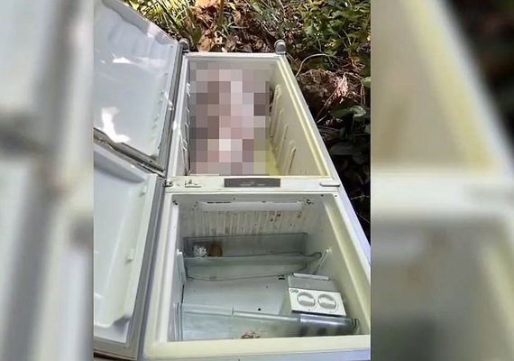 Delegado diz que filha de mulher encontrada morta dentro de geladeira demonstrou frieza em depoimento