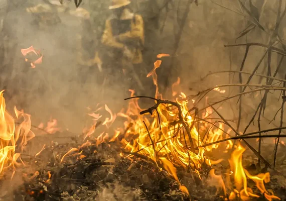 Em Mato Grosso, Corpo de Bombeiros está combatendo 50 incêndios florestais