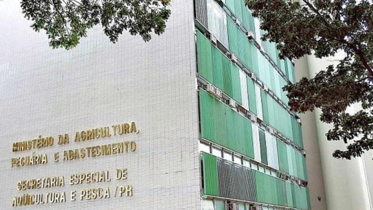 ‘Vaca louca’: setor aguarda informações da Agricultura para tomar providências