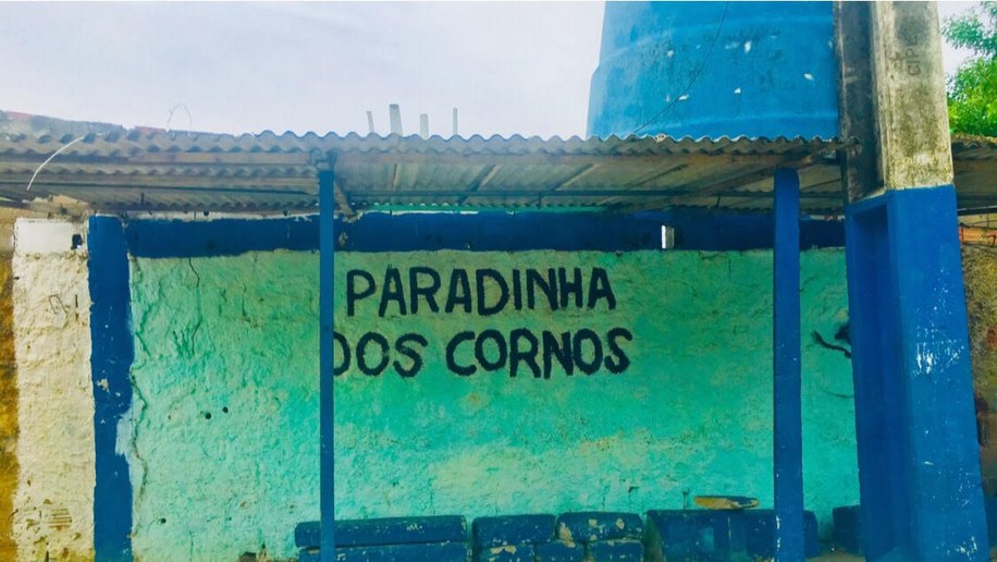 Bom Humor x Ignorância
