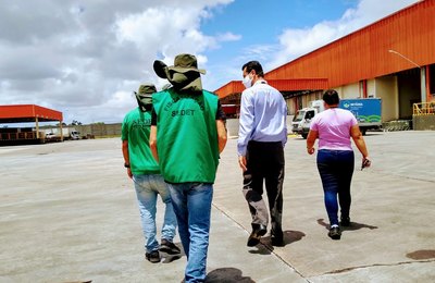 Quase 400 processos de fiscalização ambiental são encaminhados em três meses