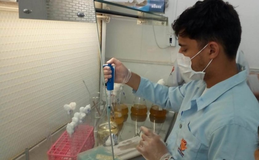 Polo Agroalimentar de Arapiraca beneficia a realização de pesquisas científicas em AL