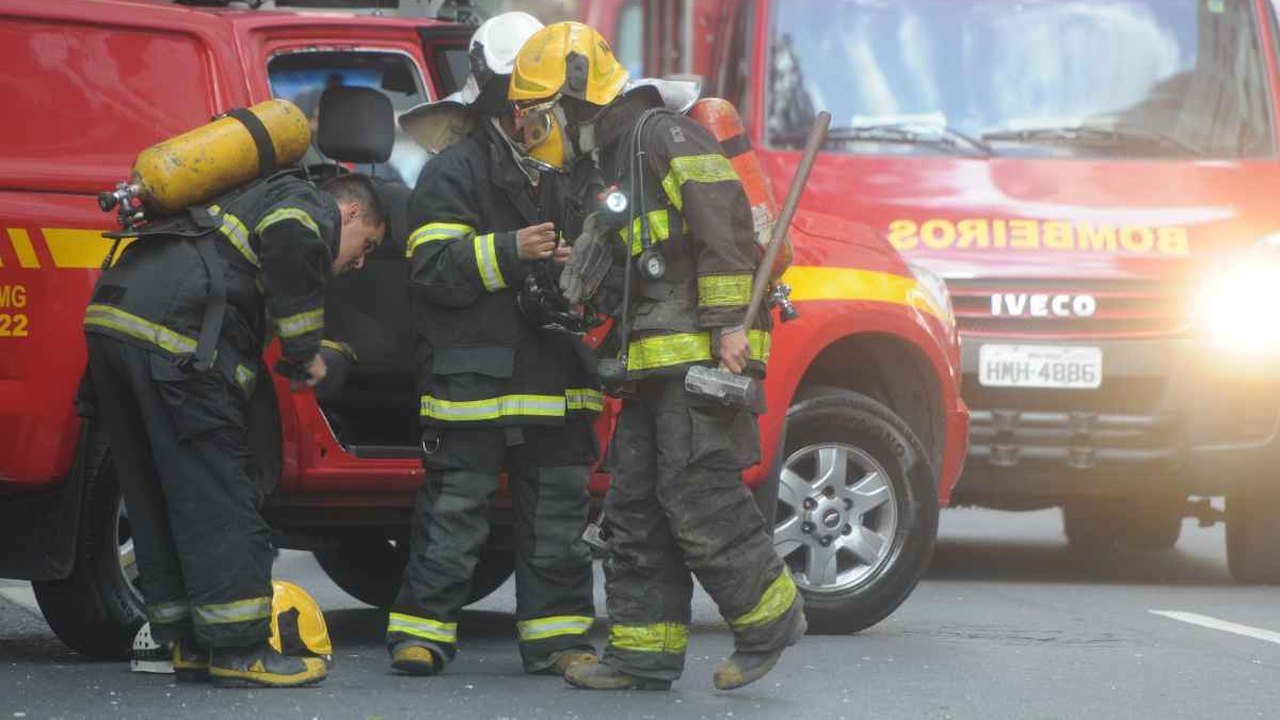 Bombeiros resgatam filhote de jaguatirica que entrou em galinheiro, em MG; vídeo