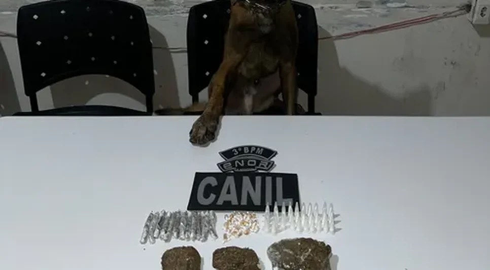 K9 Bill. Fonte: Ascom PMAL