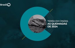 Caminhos da Reportagem | Terra em cinzas: as queimadas de 2024