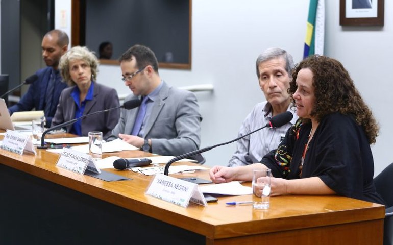 Ações de bem-estar animal podem trazer múltiplos benefícios para o Brasil, dizem especialistas