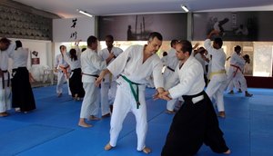 budo