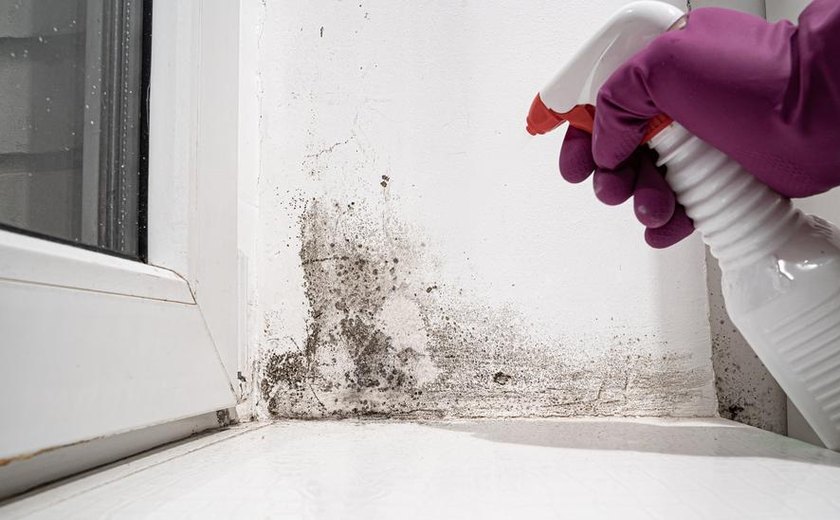 Como evitar o mofo no período de chuva?