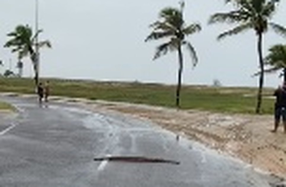 COBRA ATRAVESSANDO AVENIDA NA ORLA