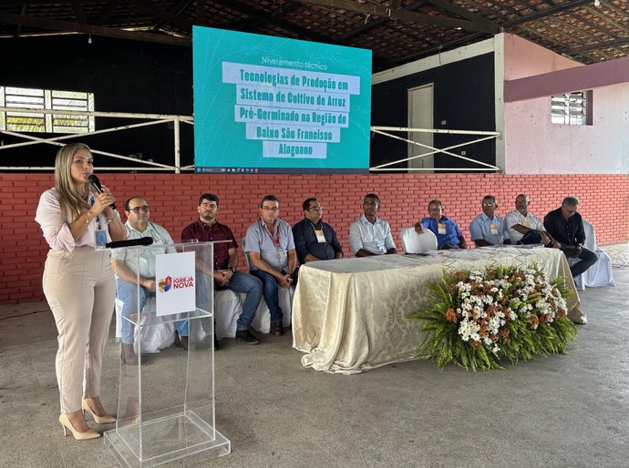 Seagri fortalece rizicultura no Baixo São Francisco com Programa Alagoas Mais Arroz