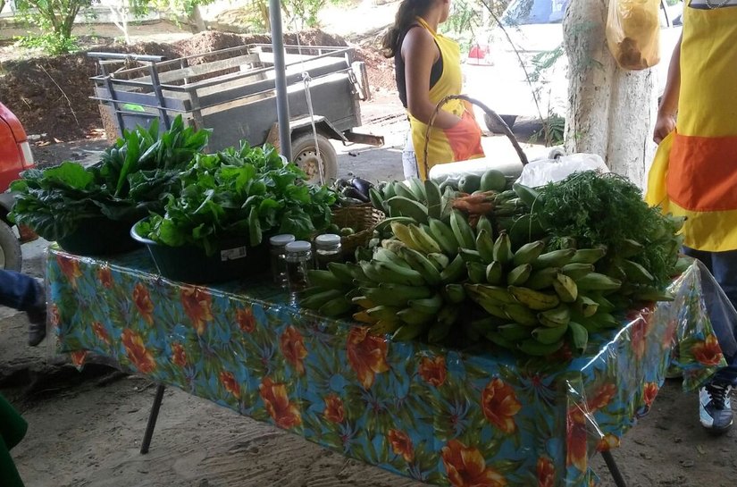 Feira Orgânica da Semarh chega a sua nona edição nesta terça-feira, dia 4