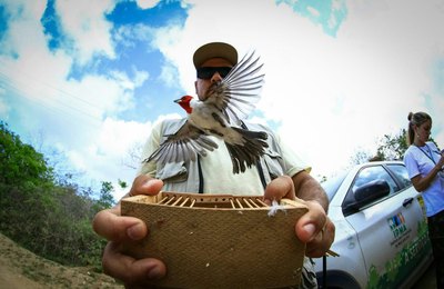 370 animais silvestres resgatados durante operações nesta sexta-feira