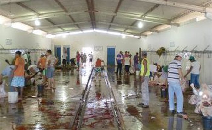 Projeto quer destinar mais de R$ 300 mil para matadouros em Alagoas