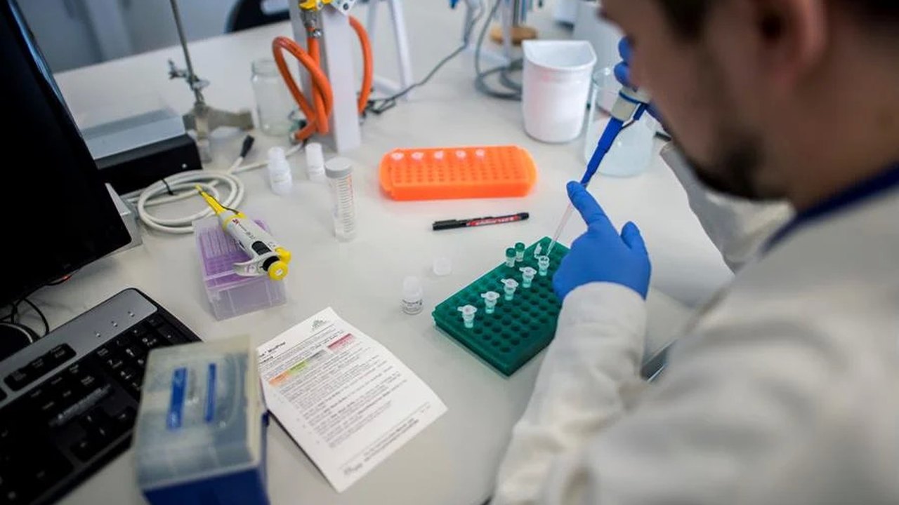 Cientistas de todo mundo buscam soluções para a Covid-19