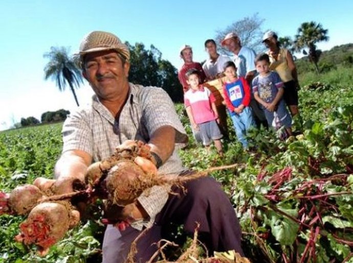 Municípios já podem enviar propostas ao Programa de Aquisição de Alimentos