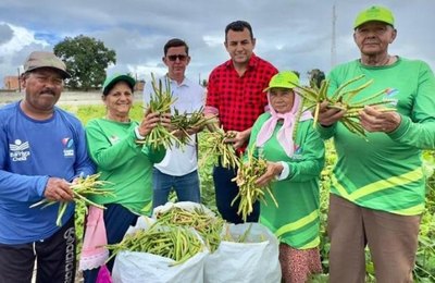 Agricultores de Campo Alegre iniciam mais uma farta colheita do Projeto Barriga Cheia