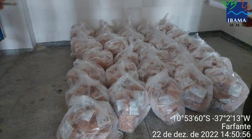 Operação apreende cerca de 470 kg de camarão durante período de defeso em Sergipe