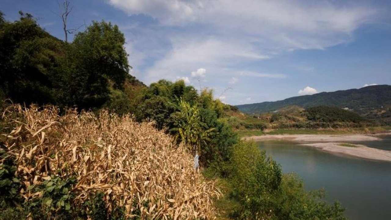 Maior lago da China sofre com a seca e afeta plantações de arroz