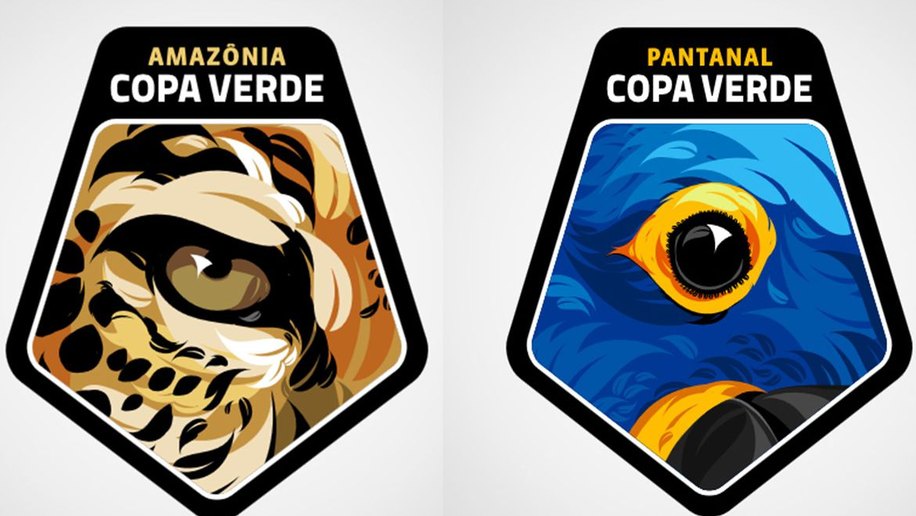 Finalistas da Copa Verde homenageiam onça-pintada e arara-azul