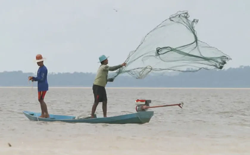 França proíbe temporariamente a pesca no Atlântico para proteger os golfinhos; entenda